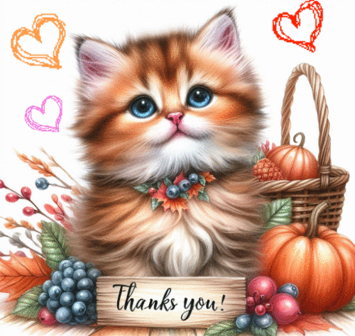 Thank you