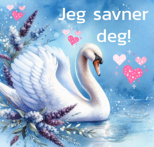 jeg savner
